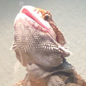 Meet your Posher, Caleb